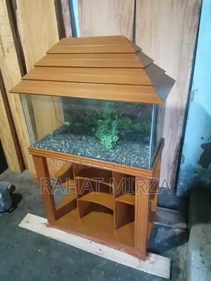 Fish Aquarium