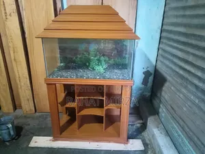 Fish Aquarium
