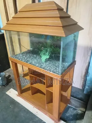 Fish Aquarium