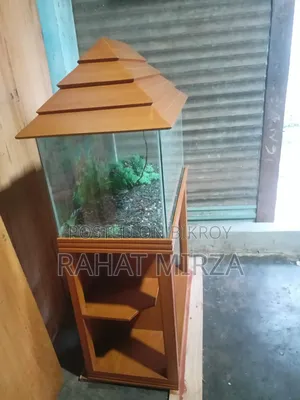 Fish Aquarium