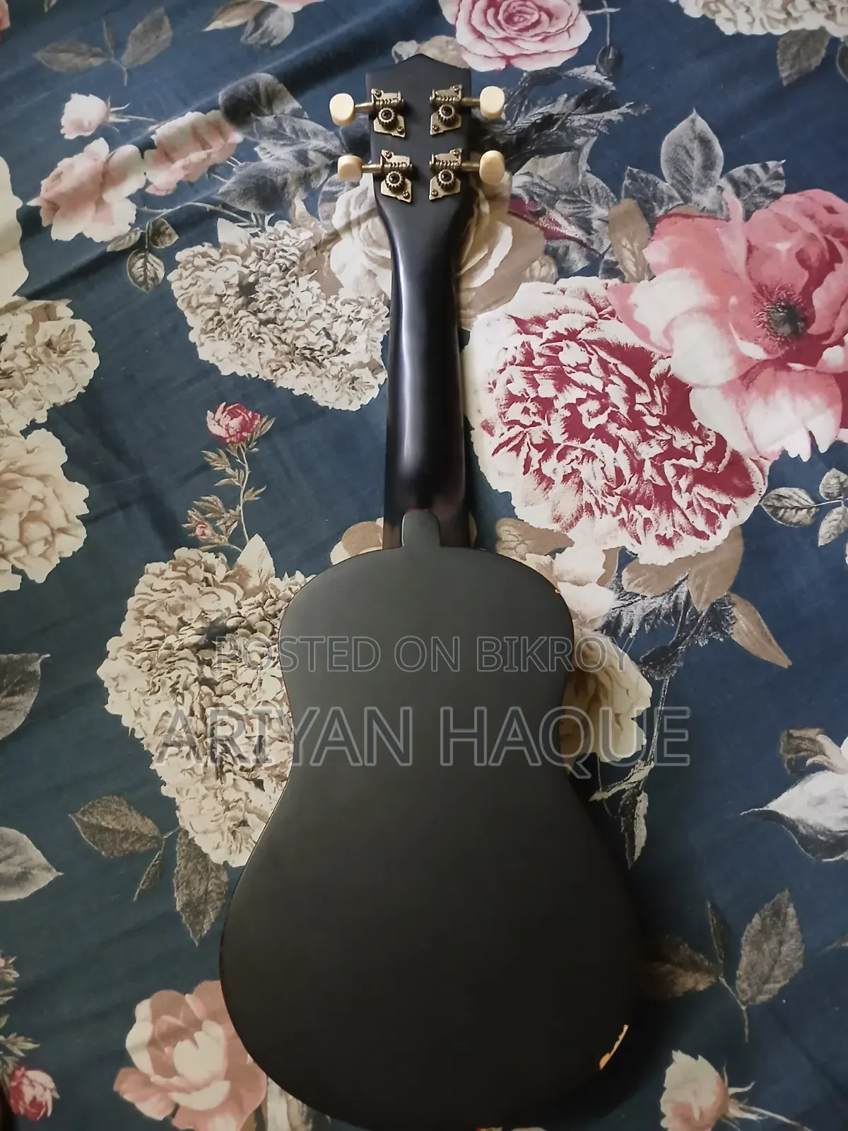 Ukulele Guiter