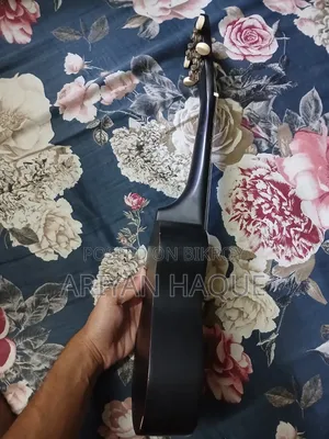 Ukulele Guiter