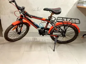 বাইসাইকেল (নন-গিয়ার)