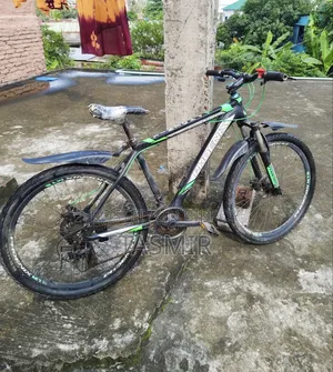 Phoenix Kool Cycle