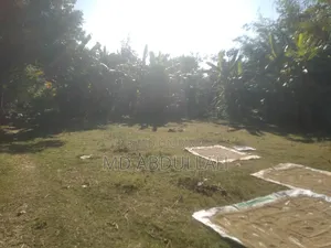 জমি বিক্রি