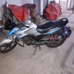 হিরো হাঙ্ক ২০১২ সিলভার