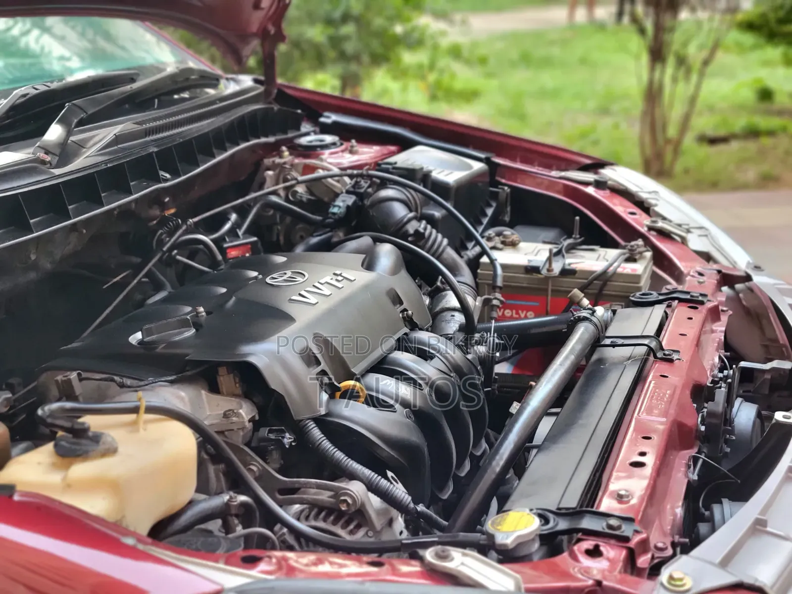 Toyota Premio 2004 Maroon