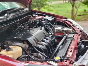 Toyota Premio 2004 Maroon