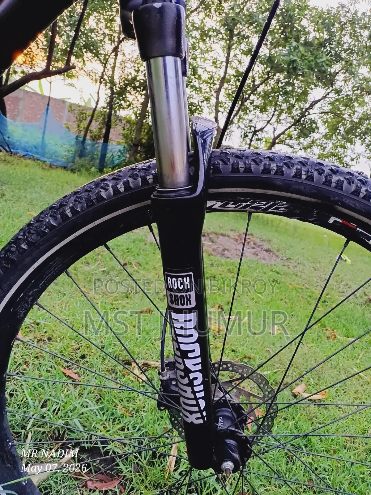 Speedone 29er Custom Paint Custom Build