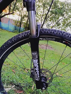 Speedone 29er Custom Paint Custom Build