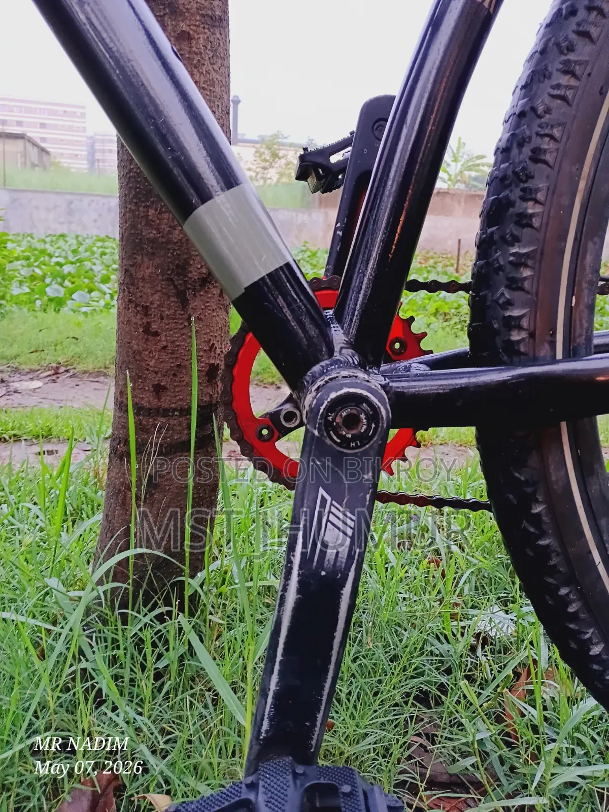 Speedone 29er Custom Paint Custom Build