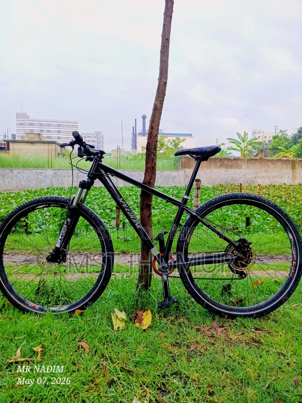 Speedone 29er Custom Paint Custom Build