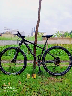 Speedone 29er Custom Paint Custom Build