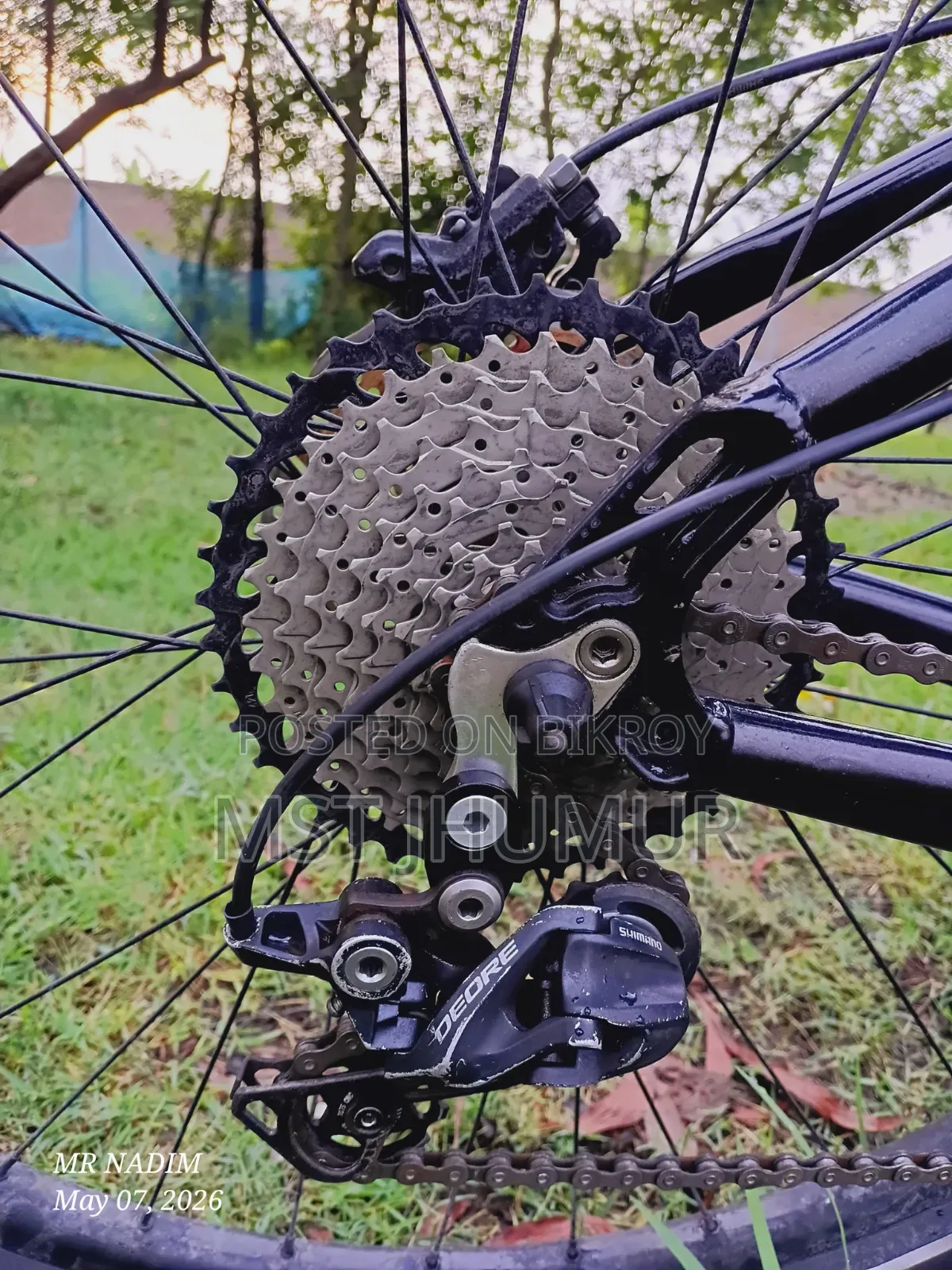 Speedone 29er Custom Paint Custom Build