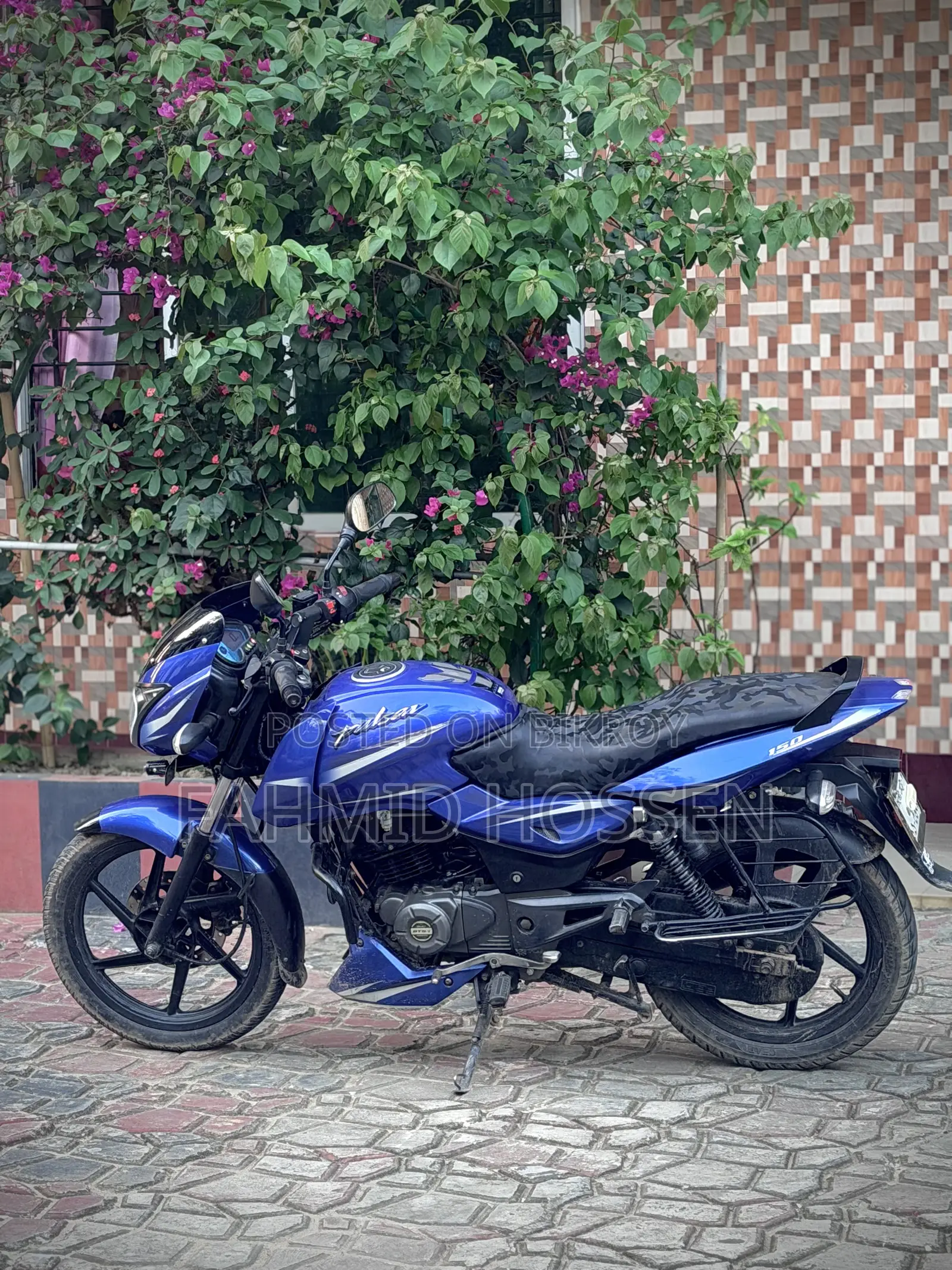 Bajaj Pulsar 150 2019 Blue