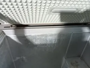 Singer Deep Freeze