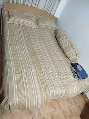 Double Standard Bed With Mattress