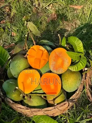 রসালো ও সুস্বাদু আম