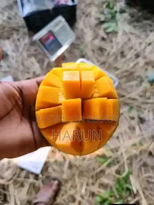 রসালো ও সুস্বাদু আম