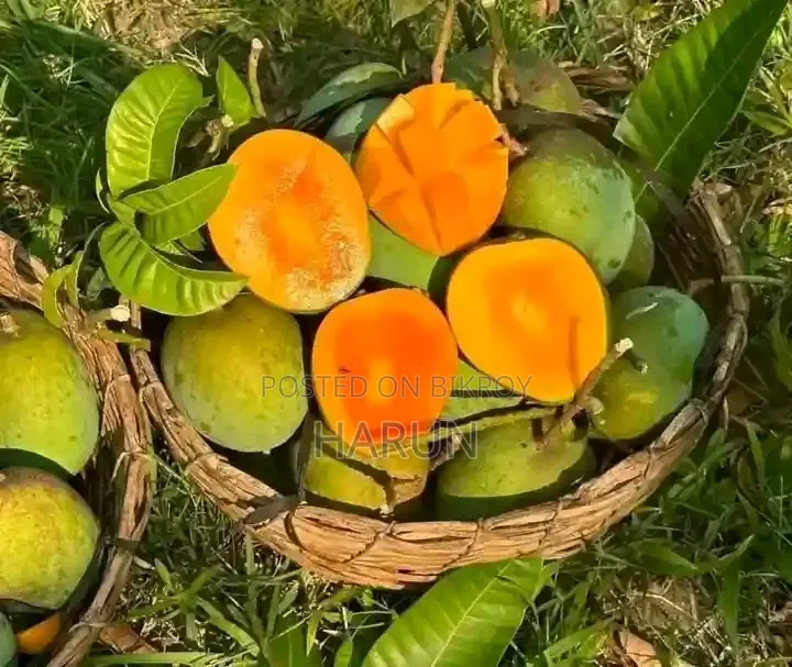 রসালো ও সুস্বাদু আম