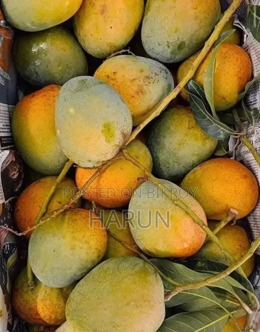 রসালো ও সুস্বাদু আম