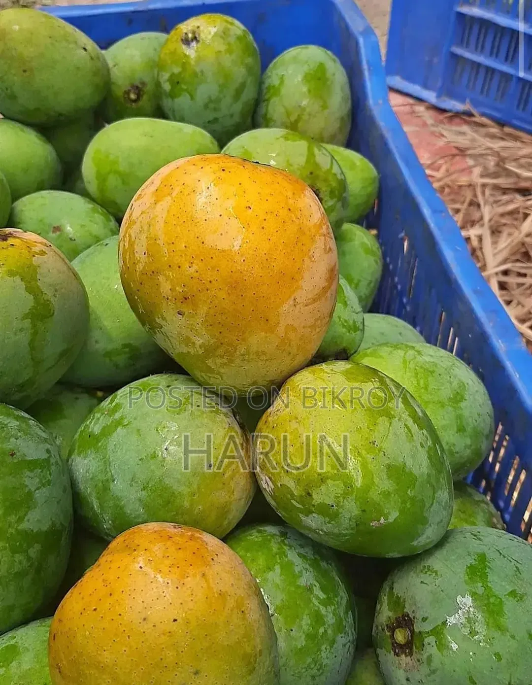 রসালো ও সুস্বাদু আম