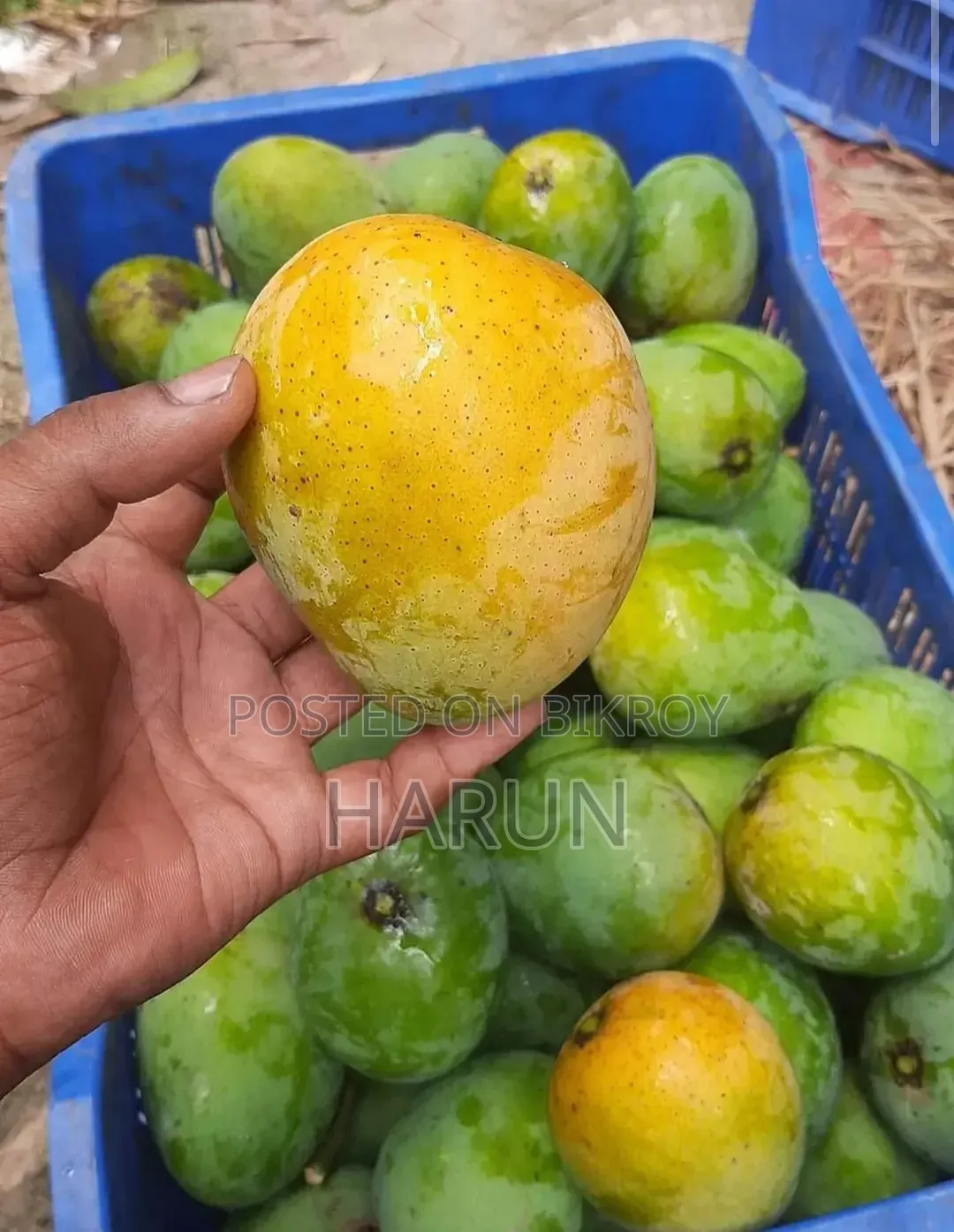 রসালো ও সুস্বাদু আম