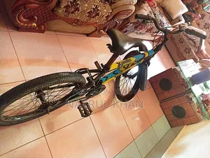 Duronto Cycle