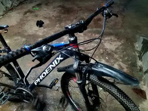Phoenix 7/3 Gear Alo Body Cycle