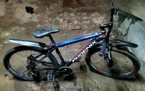 Phoenix 7/3 Gear Alo Body Cycle
