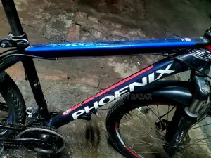 Phoenix 7/3 Gear Alo Body Cycle
