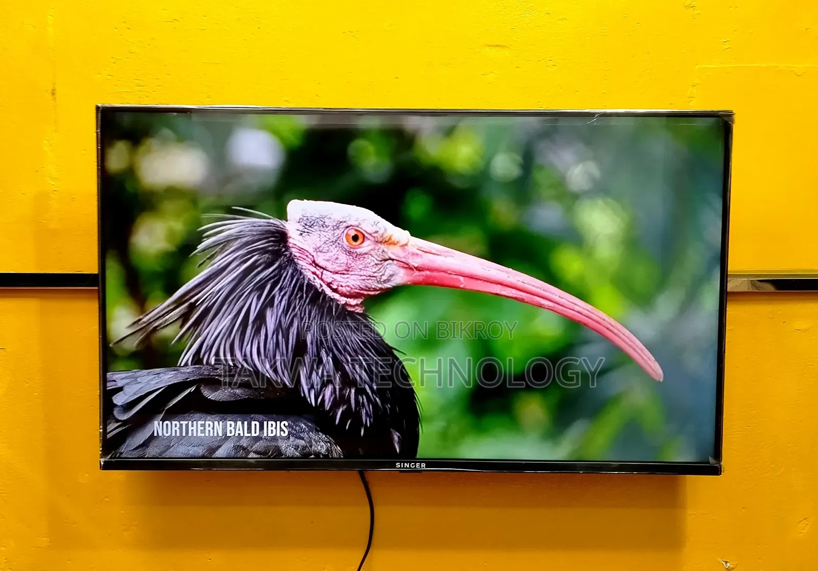 Singer-32" Inch Smart Frameless Voice Control TV