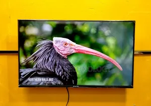 Singer-32" Inch Smart Frameless Voice Control TV