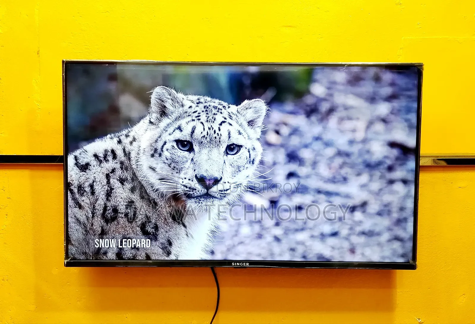 Singer-32" Inch Smart Frameless Voice Control TV