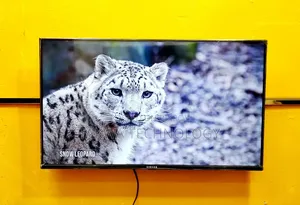Singer-32" Inch Smart Frameless Voice Control TV