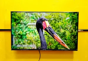 Singer-32" Inch Smart Frameless Voice Control TV