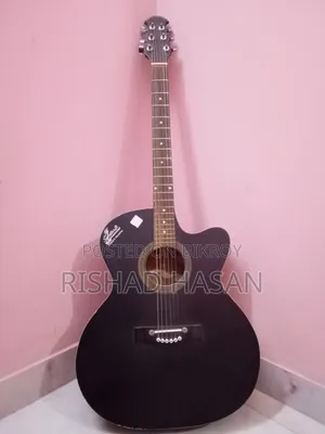 Guitar Resell