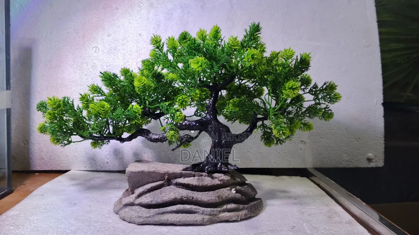 Aquarium Plants