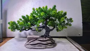 Aquarium Plants