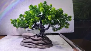 Aquarium Plants