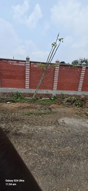 ৩ কাঠা দক্ষিণমুখী প্লট