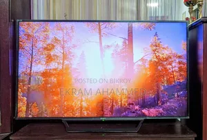 Sony Bravia
