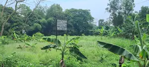 Local 25 Katha Land For Sale