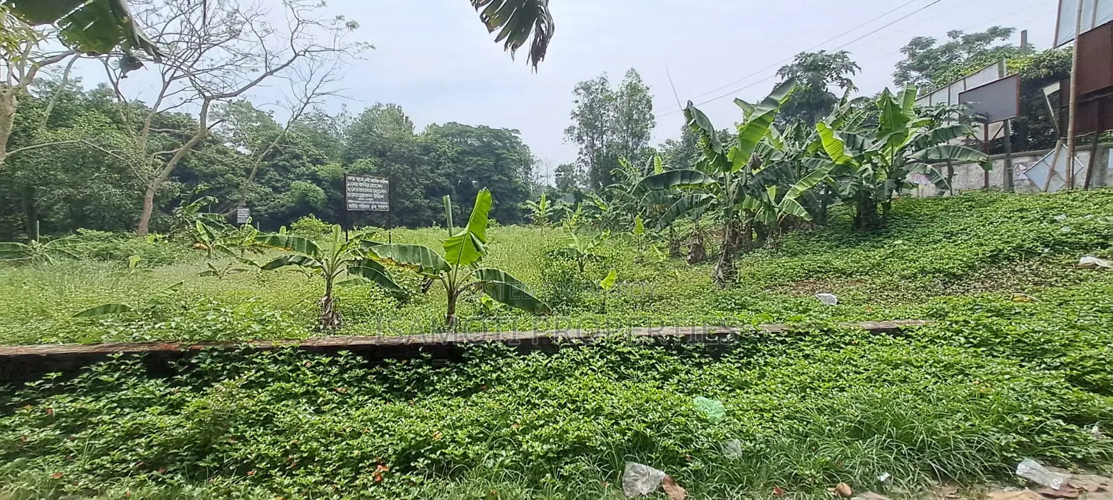 Local 25 Katha Land For Sale