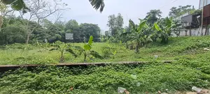 Local 25 Katha Land For Sale