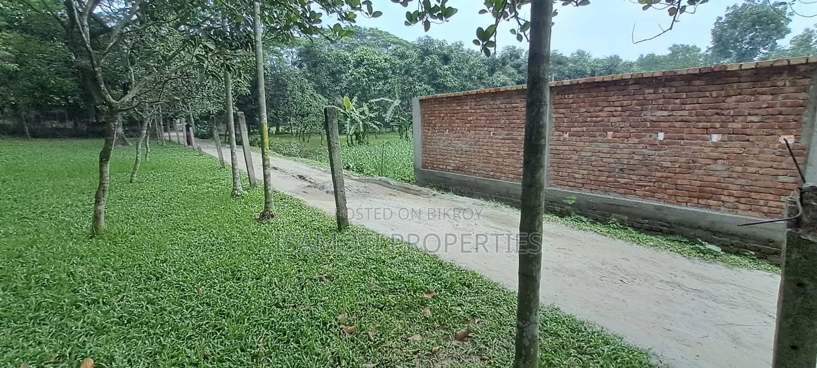 Purbachal Local Land for Sale
