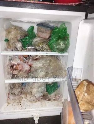 রানিং একটি ফ্রিজ বিক্রি হবে