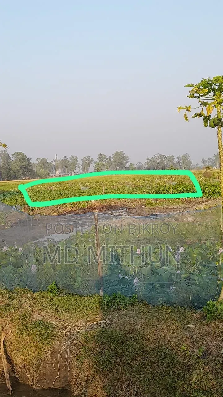 Land for sale at a low price within City Corporation