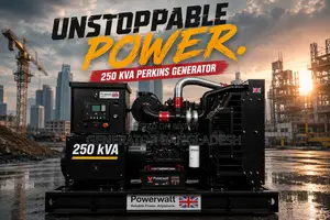250 Kva High-Quality Perkins Diesel Generator for Sale in Bangladesh