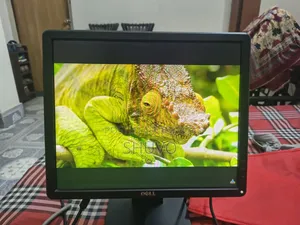 Monitor 17